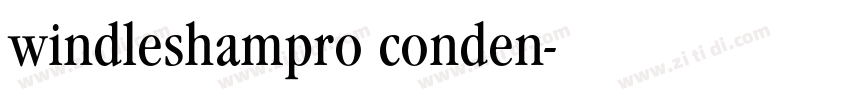 windleshampro conden字体转换